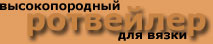 Щенки ротвейлера, вязка ротвейлера, продажа щенков ротвейлера